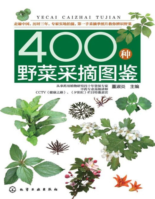 《400种野菜采摘图鉴》辨识野菜PDF
