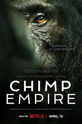 黑猩猩帝国.2023英国纪录片
