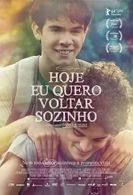 爱，简单 (2014) 巴西爱情电影