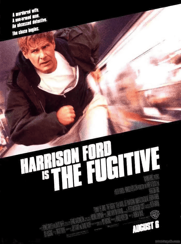 亡命天涯 The Fugitive (1993)【Netflix版本 1080P 简体中文硬字幕 哈里森·福特】