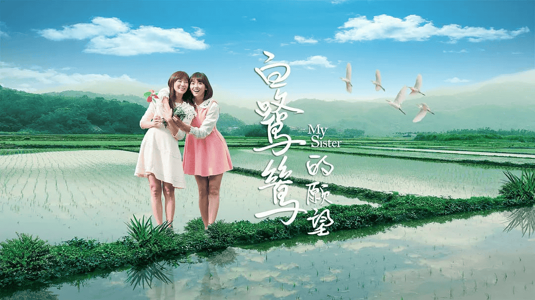 白鹭鸶的愿望(2015) 中文硬字幕 1080P