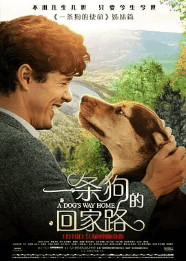 一条狗的回家路 (2019) 国语中字 1080P