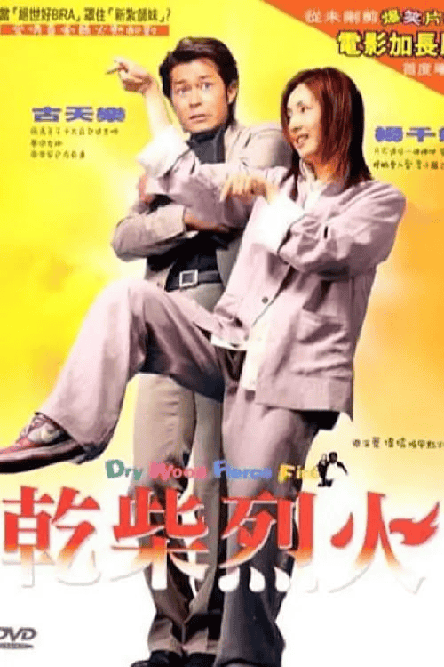 干柴烈火 (2002) 1080P 国粤音轨 内封繁中