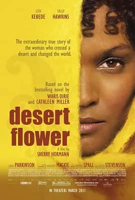 沙漠之花 (2009) 1080P 英语中字