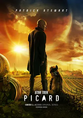 星际迷航:皮卡德 第一季 Star Trek: Picard Season 1