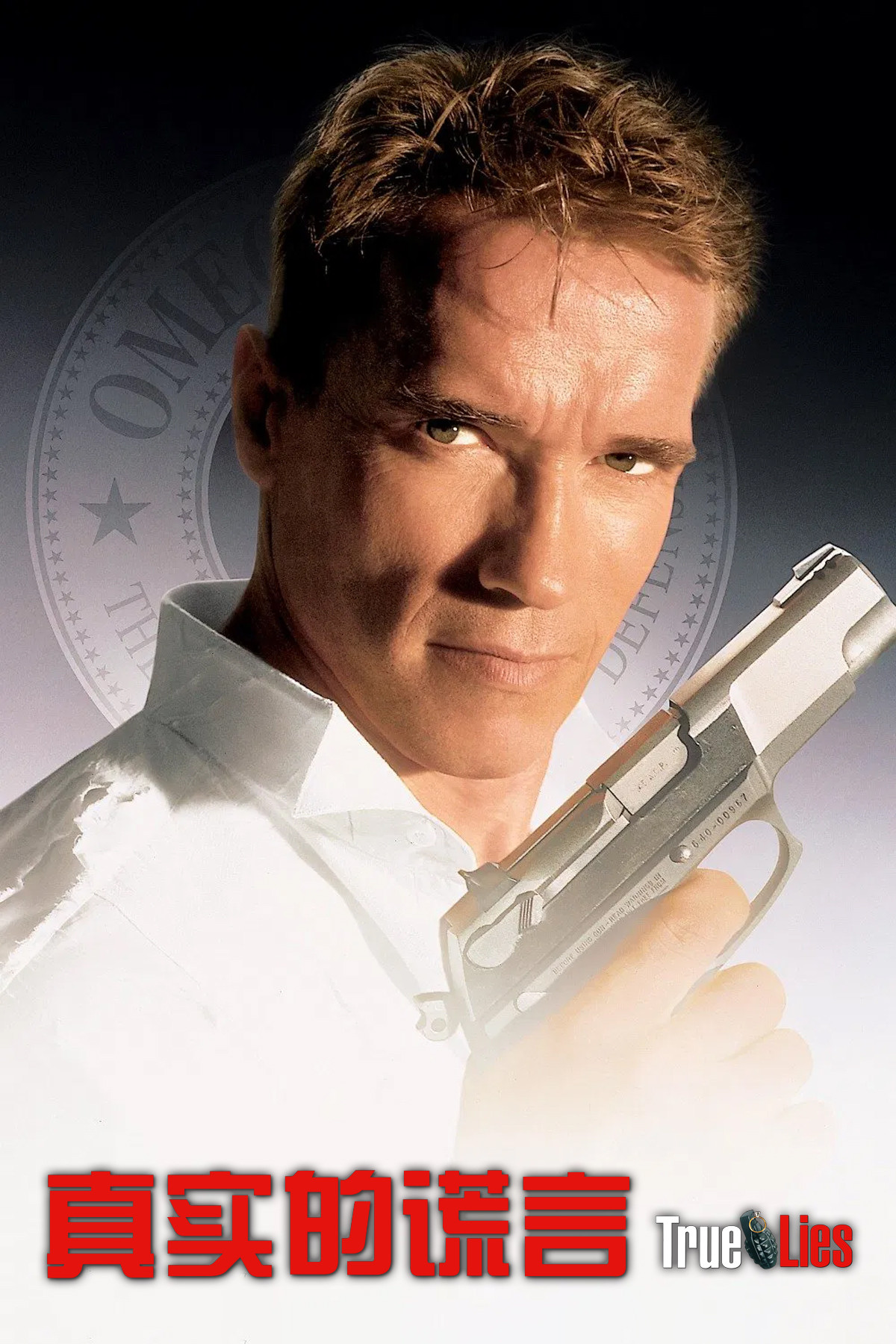 真实的谎言 True Lies