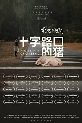十字路口的猪 Pig at the Crossing