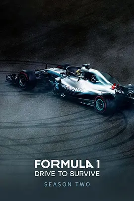 一级方程式:疾速争胜 第二季 Formula 1: Drive to Survive Season 2